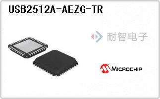 USB2512A-AEZG-TR代理