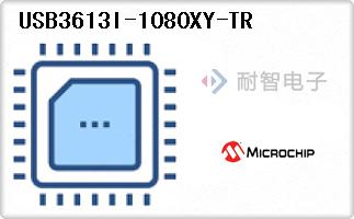 USB3613I-1080XY-TR