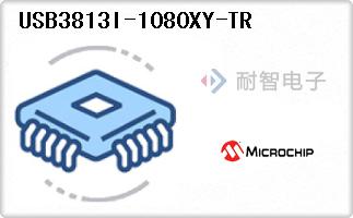 USB3813I-1080XY-TR