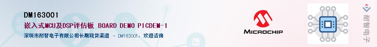 DM163001��Ӧ��-���ǵ���