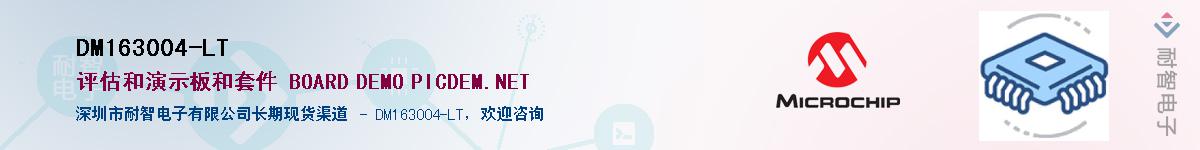 DM163004-LT��Ӧ��-���ǵ���