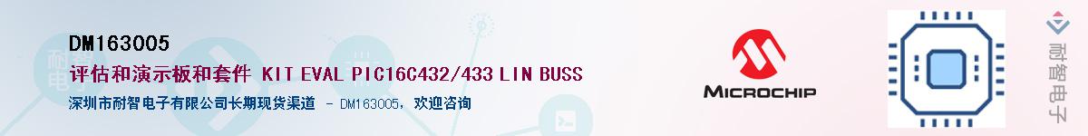 DM163005供应商-耐智电子