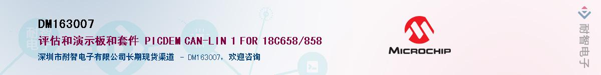 DM163007供应商-耐智电子