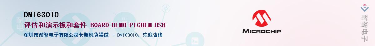 DM163010��Ӧ��-���ǵ���