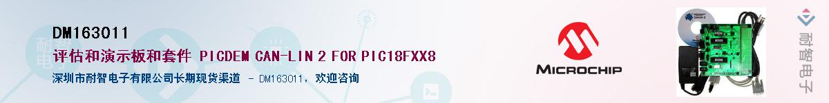 DM163011��Ӧ��-���ǵ���