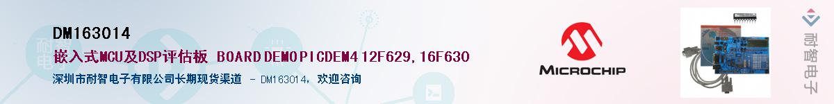 DM163014��Ӧ��-���ǵ���