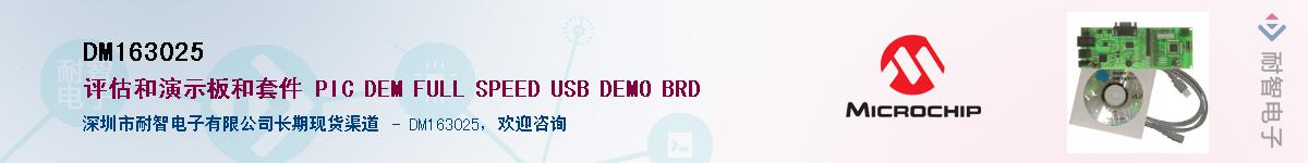 DM163025��Ӧ��-���ǵ���