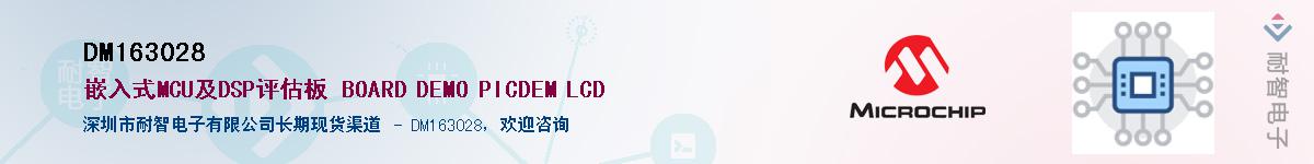 DM163028��Ӧ��-���ǵ���