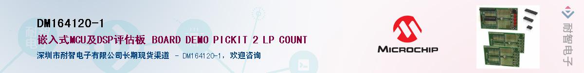 DM164120-1��Ӧ��-���ǵ���