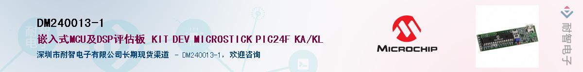 DM240013-1��Ӧ��-���ǵ���