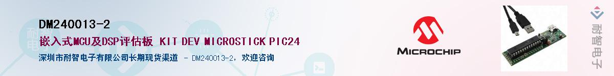 DM240013-2��Ӧ��-���ǵ���