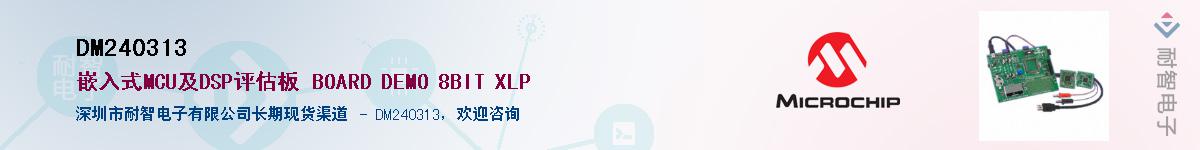 DM240313��Ӧ��-���ǵ���