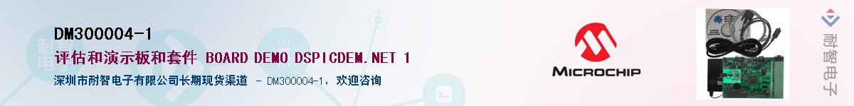 DM300004-1��Ӧ��-���ǵ���