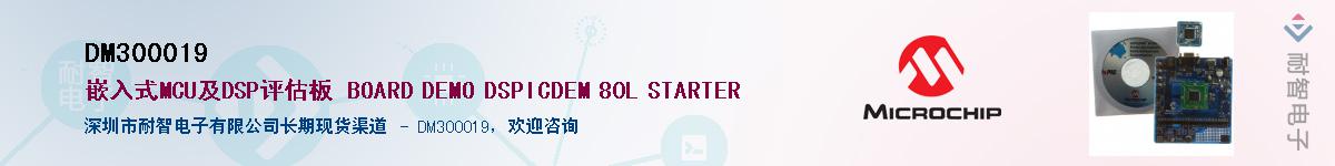 DM300019��Ӧ��-���ǵ���