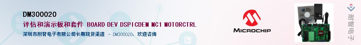 DM300020��Ӧ��-���ǵ���