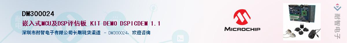 DM300024Ӧ-ǵ