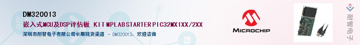 DM320013��Ӧ��-���ǵ���