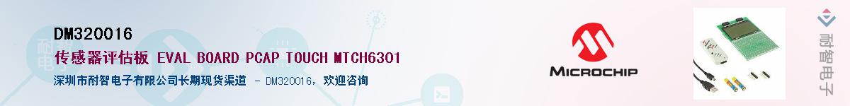 DM320016��Ӧ��-���ǵ���