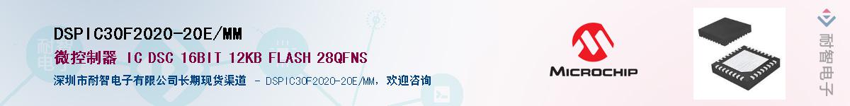 DSPIC30F2020-20E/MM��Ӧ��-���ǵ���