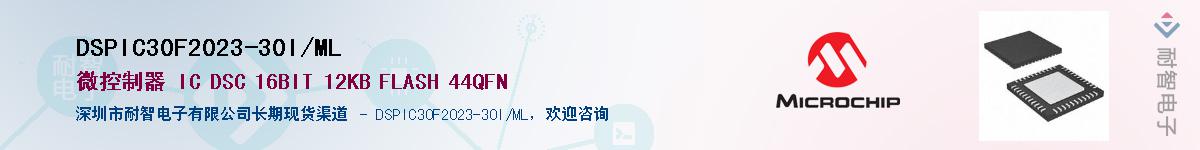 DSPIC30F2023-30I/ML��Ӧ��-���ǵ���