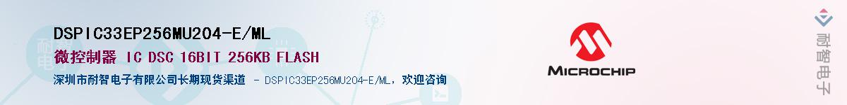 DSPIC33EP256MU204-E/ML��Ӧ��-���ǵ���