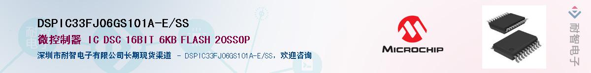 DSPIC33FJ06GS101A-E/SS��Ӧ��-���ǵ���