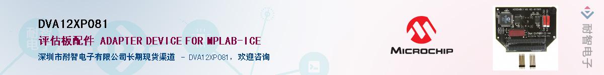 DVA12XP081Ӧ-ǵ