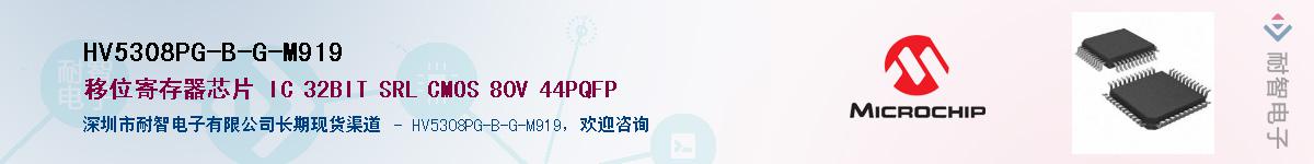 HV5308PG-B-G-M919��Ӧ��-���ǵ���