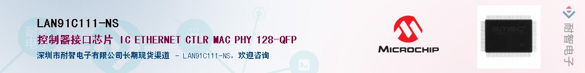 LAN91C111-NS��Ӧ��-���ǵ���
