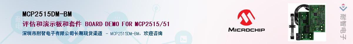 MCP2515DM-BM��Ӧ��-���ǵ���