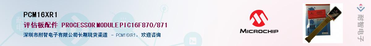 PCM16XR1��Ӧ��-���ǵ���
