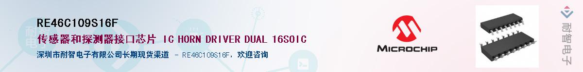 RE46C109S16F��Ӧ��-���ǵ���