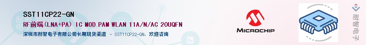 SST11CP22-GN��Ӧ��-���ǵ���