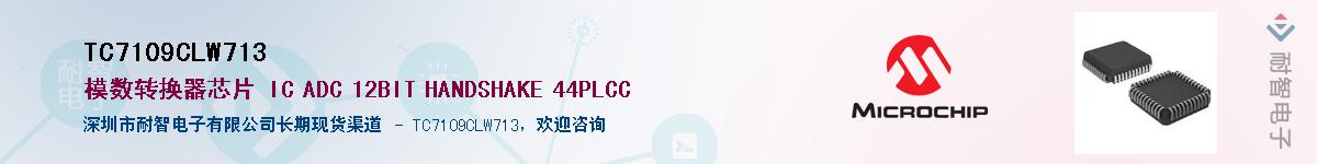 TC7109CLW713供应商-耐智电子