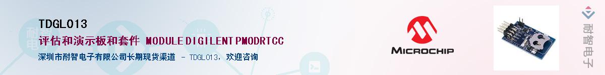 TDGL013��Ӧ��-���ǵ���