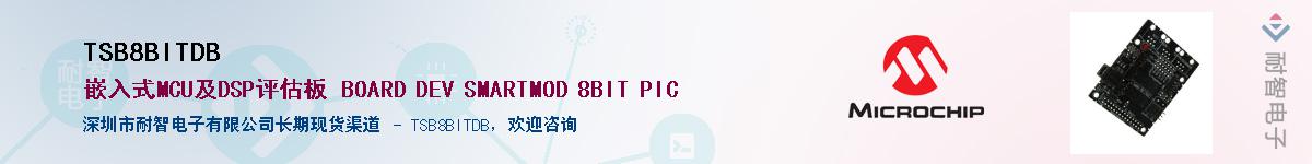 TSB8BITDB��Ӧ��-���ǵ���