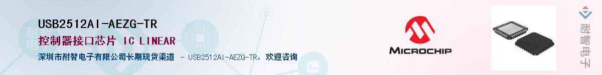USB2512AI-AEZG-TR��Ӧ��-���ǵ���