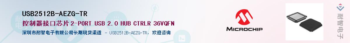 USB2512B-AEZG-TR��Ӧ��-���ǵ���
