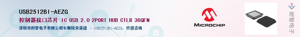 USB2512BI-AEZG��Ӧ��-���ǵ���