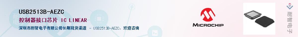 USB2513B-AEZC��Ӧ��-���ǵ���