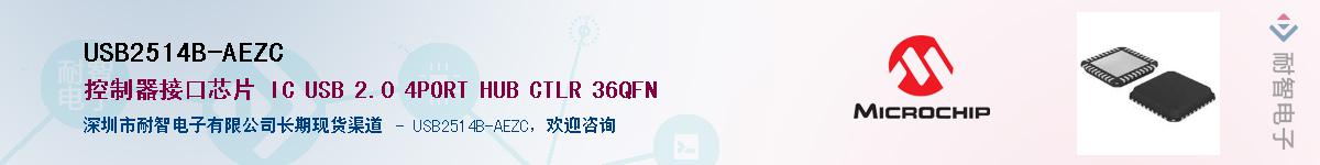 USB2514B-AEZC��Ӧ��-���ǵ���