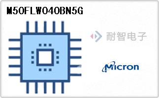 M50FLW040BN5G