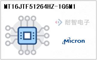 MT16JTF51264HZ-1G6M1