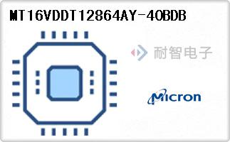 MT16VDDT12864AY-40BD