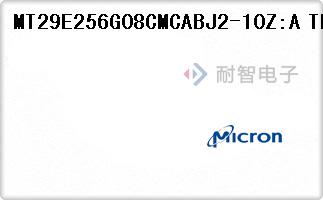 MT29E256G08CMCABJ2-10Z:A TR