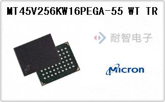 MT45V256KW16PEGA-55 