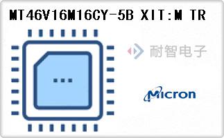 MT46V16M16CY-5B XIT:
