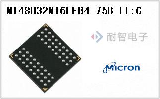 MT48H32M16LFB4-75B IT:C