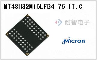 MT48H32M16LFB4-75 IT:C