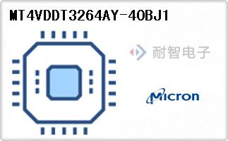 MT4VDDT3264AY-40BJ1